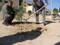 گزارش تصویری مراسم روز درخت کاری و تقدیر از نیروهای باغبانی دانشگاه
